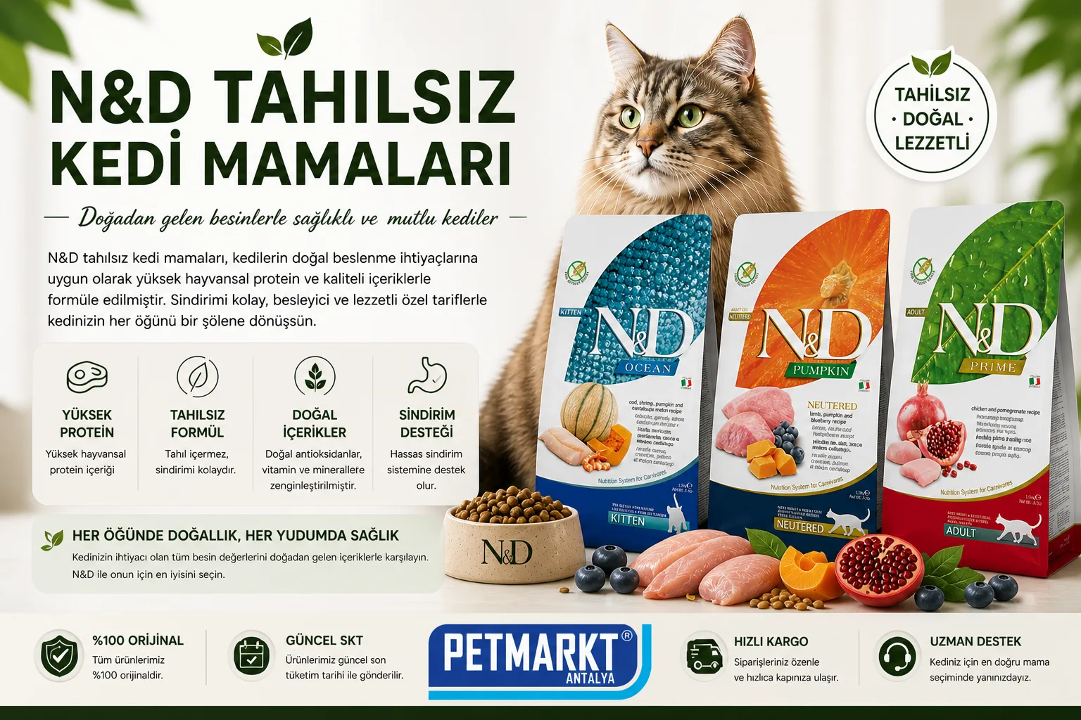 🐱 N&D Tahılsız Kedi Mamaları Rehberi