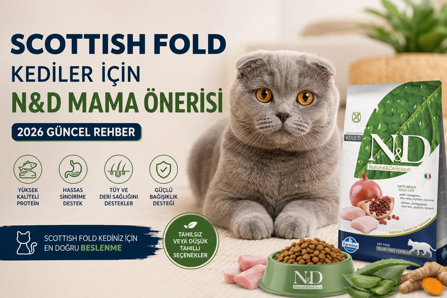 Scottish Fold Kediler İçin N&D Mama Önerisi [2026 Güncel Rehber]
