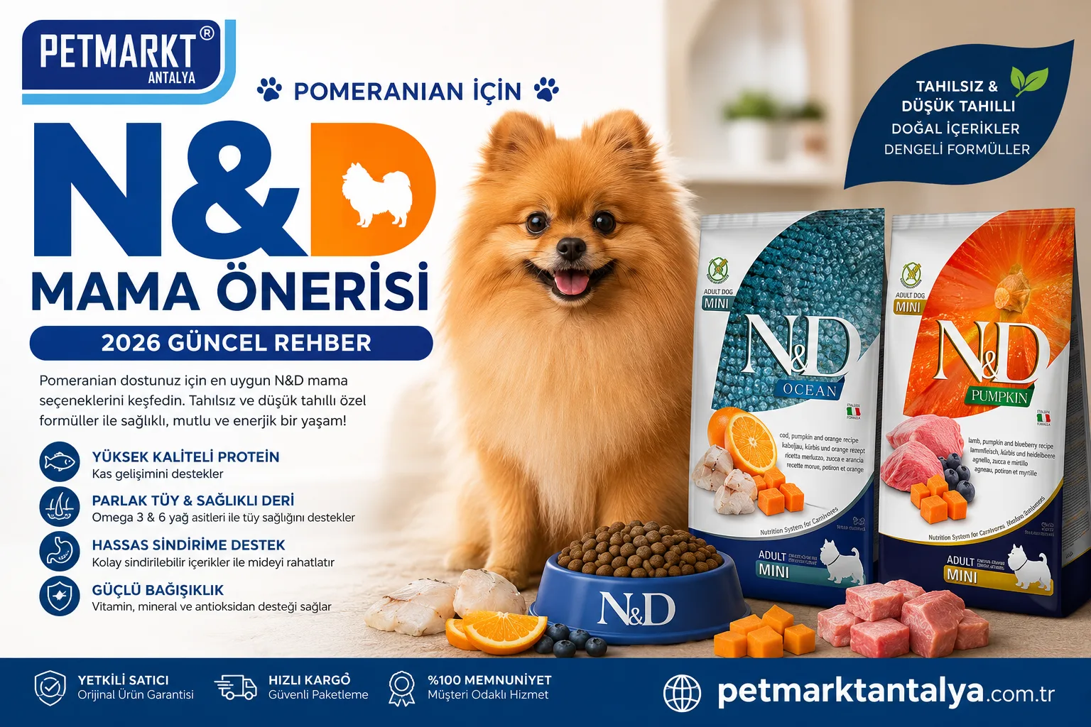 🐶 Pomeranian İçin N&D Mama Önerisi [2026 Güncel DEV Rehber]