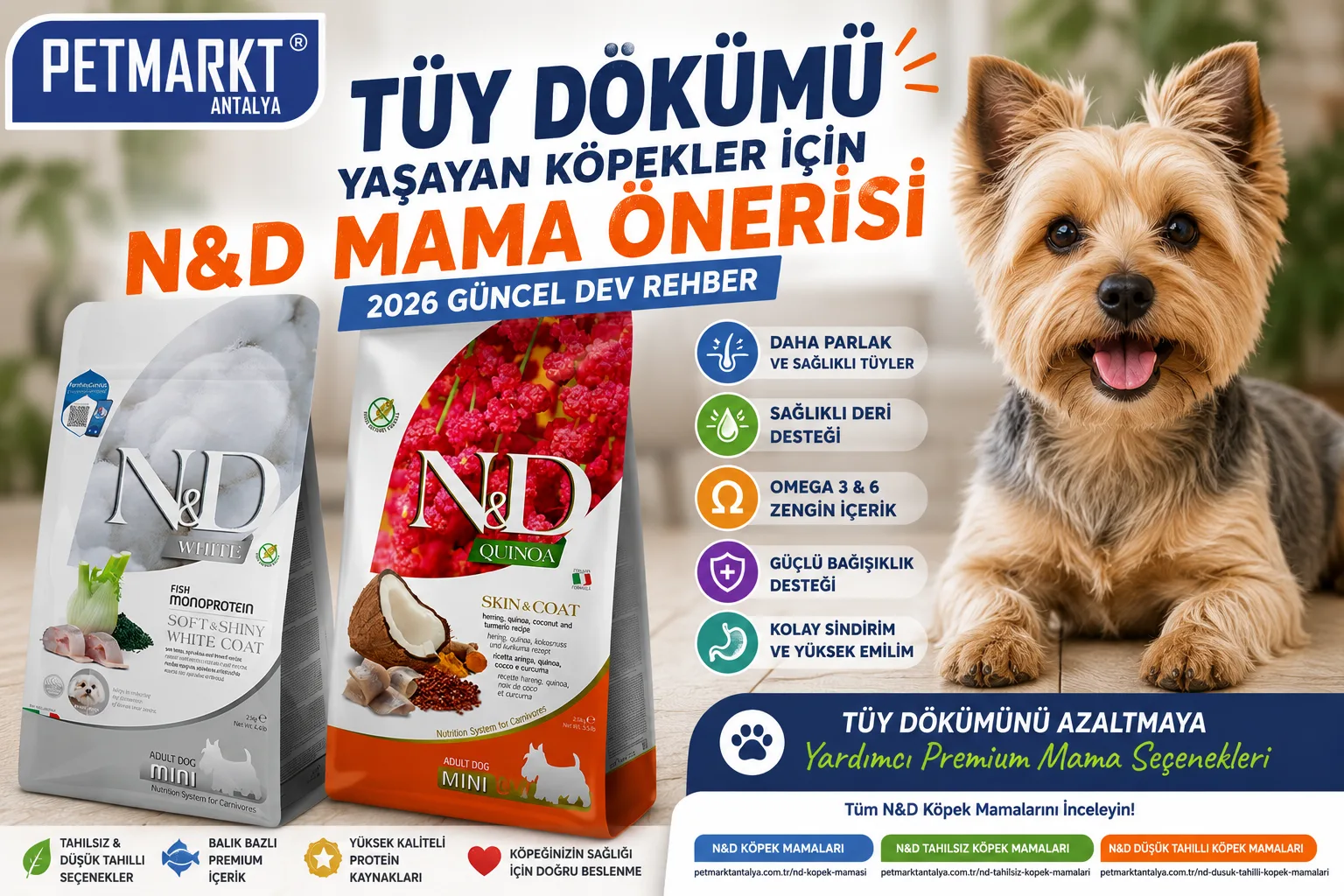 🐶 Tüy Dökümü Yaşayan Köpekler İçin N&D Mama Önerisi [2026 Güncel DEV Rehber]